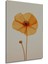 Turuncu Gelincik Çiçeği Dekoratif Ahşap Mdf Ev/işyeri Duvar Tablo Dikdörtgen Ev/işyeri Duvar Tablo 3