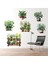 6 Li Sticker Saksılı Çiçek Modelleri (4915) 5