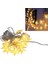 WN-1181 5 Metre 20 Ledli Yıldızlı Günışığı Sabit LED Dekoratif Aydınlatma 5 Watt AC220V 1