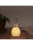 Buffer® Ananas Şeklinde Desenli Büyük Boy Pilli Masa ve Gece Lambası 3