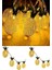 ® Dekoratif Pilli Pineapple Ananas Pilli Şerit LED Işık (1 Metre) 3