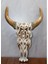 Ahşap Duvara Asmalı Bufalo Kafası 2