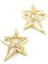 Yıldız Küpe - 14K Altın 1