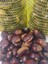 Kestane Yeni Mahsul 1 kg 2