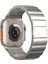 Apple Watch 10 46MM/ULTRA 2/ultra 49MM/9 8 7 45MM/SE (2023) Se (2022) Se 6 5 4 44MM/3 2 1 42MM Titanyum Alaşımlı Manyetik Kayış - Gümüş (Yurt Dışından) 1