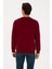 Erkek Bordo Sweatshirt 50307793-VR014 5