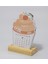 2026 Yılı Masaüstü Takvim, Cupcake Takvim, Ahşap Standlı Yeni Yıl Takvimi, 9X12 cm 1