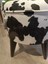 Inek Desenli Puf Bench 2
