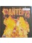 Pantera - Reinventing The Steel Plak ( Renkli / Limitli) 1