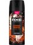 Axe Premium Collection Erkek Sprey Deodorant Copper Santal 150 ml 3