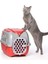 Köpekler ve Kediler Için Transporter Kırmızı 52X33X34 cm 1