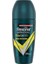 Rexona Men Ultra Recharge Roll On Deodorant, 50 Mililitre 2