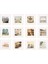 Perfect 12 Parça Beyaz Kare Fotoğraf Çerçevesi Galeri Duvar Kiti Dekoratif Sanat Baskıları ve Asma Şablonu ile 1