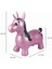 Şişme Atlama Makinesi, Kapalı ve Açık, Ergonomik Tasarım, El Pompası Dahil, Pembe, BG050UNI 3