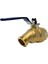 Valve M76QT 3/4" Çeyrek Dönüş Hortum Bibb Fıp, 3/4-Inç 3