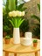 El Yapımı Modern Çizgili Dekoratif Set – Vazo, Kapaklı Kutu, Mumluk ve Tepsi (6 Parça) 3