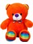 Oturan Kurdeleli Renkli Peluş Ayı 30 cm 3