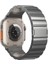 Apple Watch 10 46MM/ULTRA 2/ultra 49MM/9 8 7 45MM/SE (2023) Se (2022) Se 6 5 4 44MM/3 2 1 42MM Titanyum Alaşımlı Manyetik Kayış - Gri (Yurt Dışından) 1