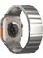 Apple Watch Series 10 42MM/9 8 7 41MM/SE (2023) Se (2022) Se 6 5 4 40MM/3 2 1 38MM Titanyum Alaşımlı Saat Kayışı Manyetik Kilit-Titanyum (Yurt Dışından) 1