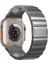 Apple Watch Series 10 42MM/9 8 7 41MM/SE (2023) Se (2022) Se 6 5 4 40MM/3 2 1 38MM Titanyum Alaşımlı Saat Kayışı Manyetik Kilitli-Gri (Yurt Dışından) 1
