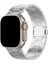 Apple Watch 10 46MM/ULTRA 2/ultra 49MM/9 8 7 45MM/SE (2023) Se (2022) Se 6 5 4 44MM/3 2 1 42MM Manyetik Titanyum Alaşımlı Saat Kayışı - Gümüş (Yurt Dışından) 2