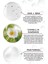 Woo Skin Expert Academy Arındırıcı, Sıkılaştırıcı, Güneş & Sivilce Leke Açma Etkili ve Canlandırıcı Yüz Temizleme Jeli 200ML (Aha+Bha ve Hyaluronic Acid) Akne Oluşumunu Azaltma, Leke Açıcı 1
