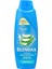 Blendax Yoğun Nemlendirme Aloe Vera Özlü Şampuan, 500 ml 2