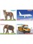 Toys Dokun Hisset Orman Hayvanları ve Araçlar 2