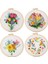 4 Set Dıy Nakış Kiti Yeni Başlayanlar Için Yetişkinler, El Nakış Kiti Çiçek, Çember, Renk Dişleri, Araçlar Içerir (Yurt Dışından) 1