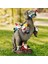 Dinozor Gnomes Bahçe Heykelleri Açık Dekor Doğum Günü Hediyeleri Anne Hediyeleri, Veranda Dinozor Yeme Cüceler Heykelleri (Yurt Dışından) 3