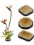 3pcs Japon Ikebana Çiçek Çiçek Kurbağaları Çiçek Düzenlemesi, Kenzan Kit Jp Çiçek Düzenleme Aksesuarları Malzemeleri (Yurt Dışından) 2