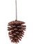 12PCS Natural Pine Cone Seçim Noel Pinecone Spreys Orta Pinekonlar Kablolu Saplamalarla Seçimler 8,3 Inç Xmas, A (Yurt Dışından) 1