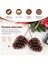 12PCS Natural Pine Cone Seçim Noel Pinecone Spreys Orta Pinekonlar Kablolu Saplamalarla Seçimler 8,3 Inç Xmas, A (Yurt Dışından) 5