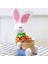 Paskalya Dekorasyonları, Sevimli Tavşan Paskalya Sepeti Yumurtaları Şeker Hediyeleri Depolama Tavşan Çanta Parti Dekorasyonu (Yurt Dışından) 2