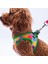 Rainbow Crew Göğüs Tasması ve Sevk Kayışı Tasma Seti Renkli Kedi Köpek Göğüs Tasması Seti 4