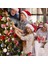 Noel Ağacı Dekorasyon Topları Noel Süsleri (Yurt Dışından) 5