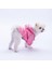 Pembe Pluvia V25 Köpek Mont Köpek Yağmurluk Köpek Kıyafeti Köpek Elbisesi 3