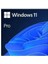 Ms Wındows 11 Pro 64 Bıt Turkce Oem FQC-10556 2
