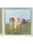 Pink Floyd Atom Heart Mother CD (Orijinal 1994 Avrupa Dönem Baskı Cd) 1