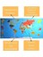 Renkli atlas Dünya haritası Manyetik Yapıştırıcı Gerektirmeyen Duvar Stickerı 118 cm * 56 cm 5