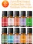 Trend Collection Esansiyel Uçucu Koku Yağı Buhurdanlık Yağı Difüzör Esansı 10'lu Set 10X10ML 1