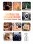 Trend Collection Esansiyel Uçucu Koku Yağı Buhurdanlık Yağı Difüzör Esansı 10'lu Set 10X10ML 2