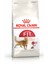 Fit32 Yetişkin Kuru Kedi Maması 2kg 13