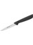Colorfood Soyma Bıçağı 8cm Siyah 2