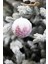 Yılbaşı Süsü 3'lü Tüylü Top Pembe 8 cm 1