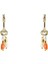 Turuncu - Altın Küpe Mae Earrings 2