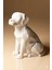 Labrador Figürü | 10 cm | Labrador Geometrik Masaüstü Dekorasyon | 3D Baskı Sanatı 4