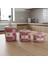 3’lü Bird Studio Pembe Renk Kuş Desenli Emaye Tezgah Üstü Kavanoz Takımı - 950-650-400 Ml. 1