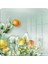 Cam Kesme Tahtası ve Sunumluk Kare Vintage Fruit 30X30 cm 2