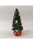 Yılbaşı Çamı Saksılı 1